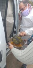 IMG-20200530-WA0030