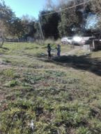 IMG-20200612-WA0051